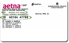 What Is Subscriber Id On Aetna Insurance Card